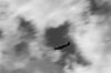 spitfire restaurato